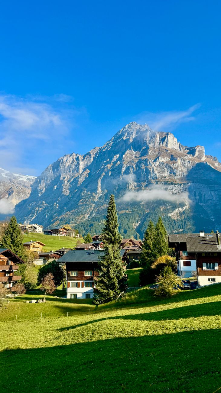 scenic view of swiss alps in grindelwald